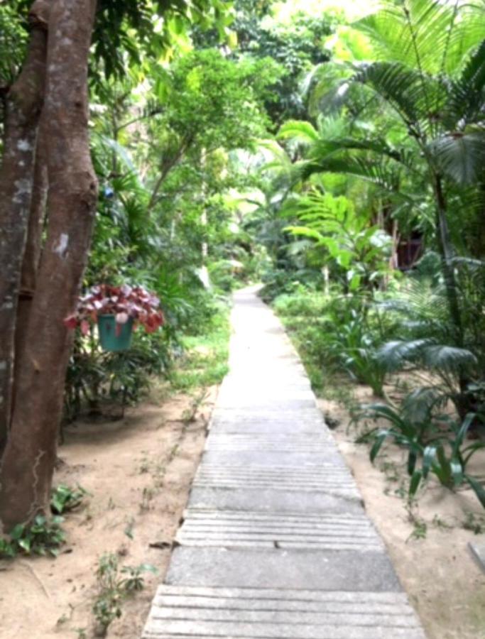 Homestay Starlight