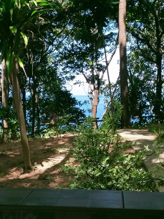 Guest house Jungle Hill 3*