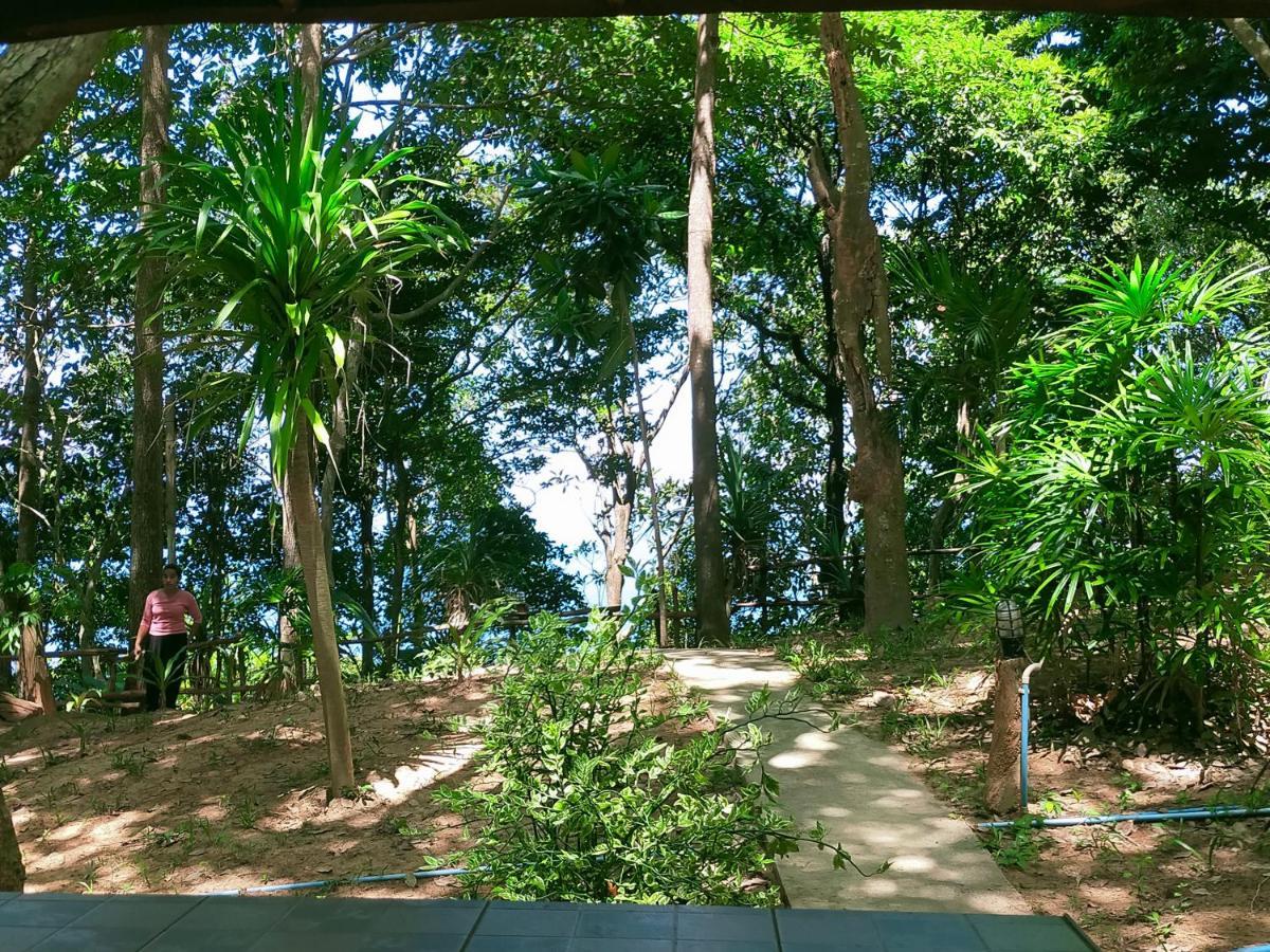 Jungle Hill Guest house 3*