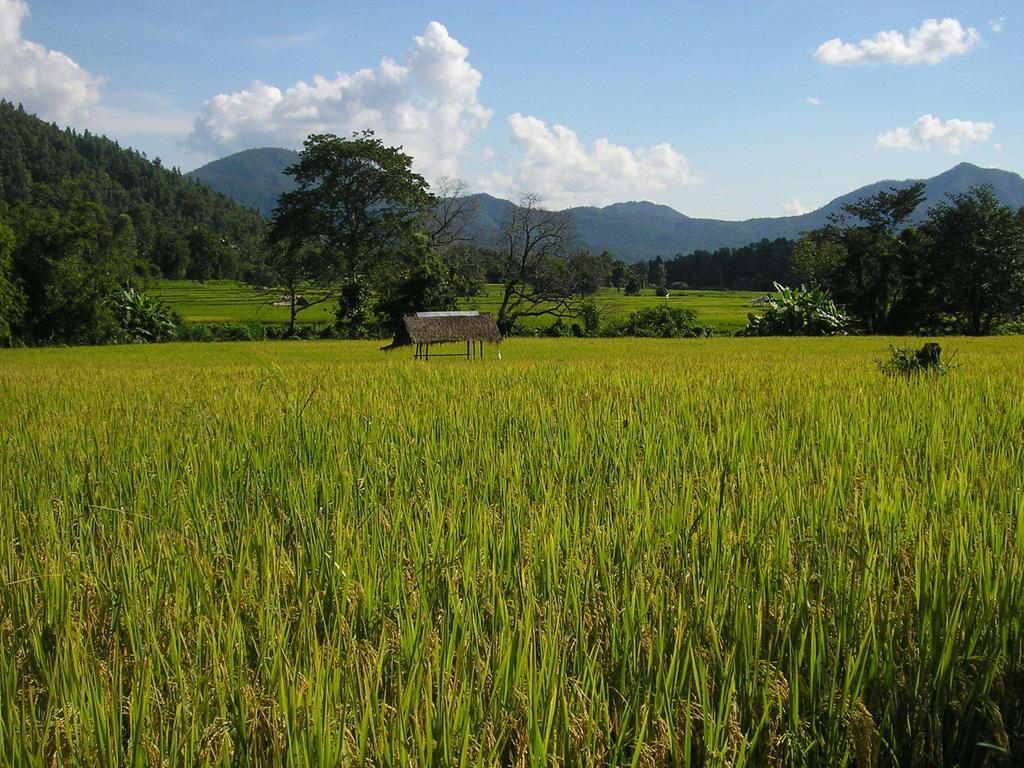 Homestay Mai Siam