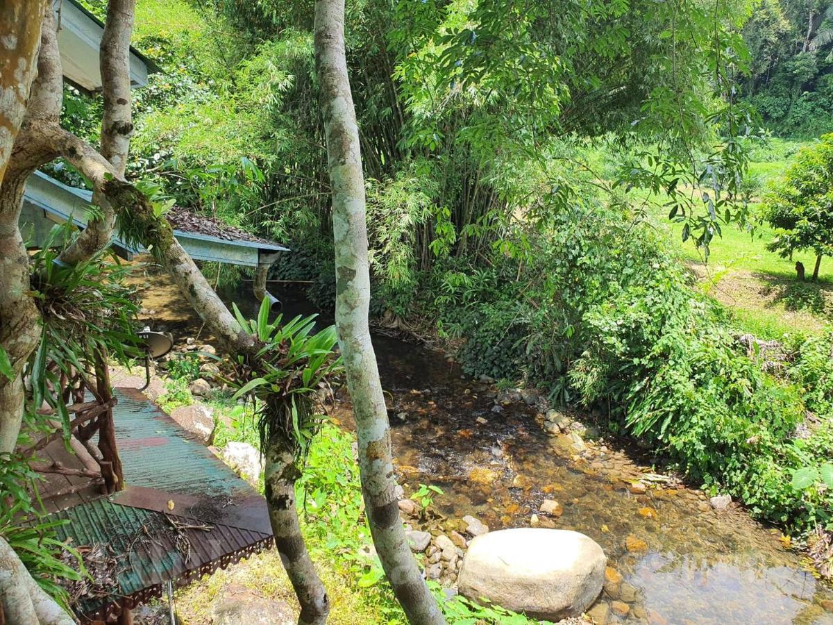 Malulee Khaosok Resort Khao Sok National Park