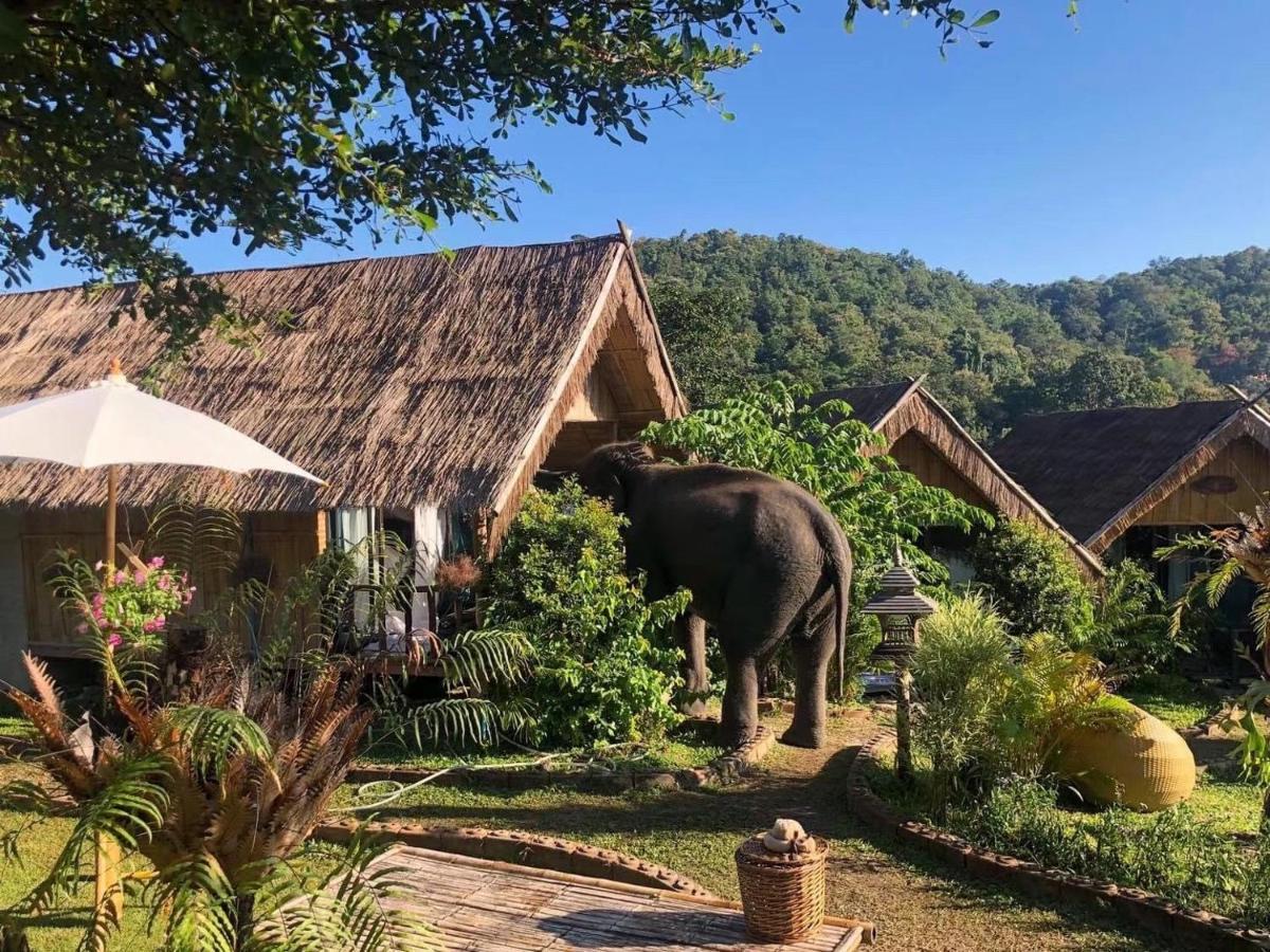 Homestay 3 Pok Maewang Jinxiang Gold Elephant Park Mae Wang