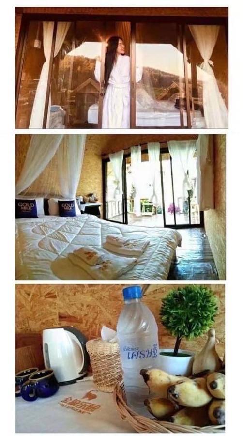 3 Pok Maewang Jinxiang Gold Elephant Park Homestay