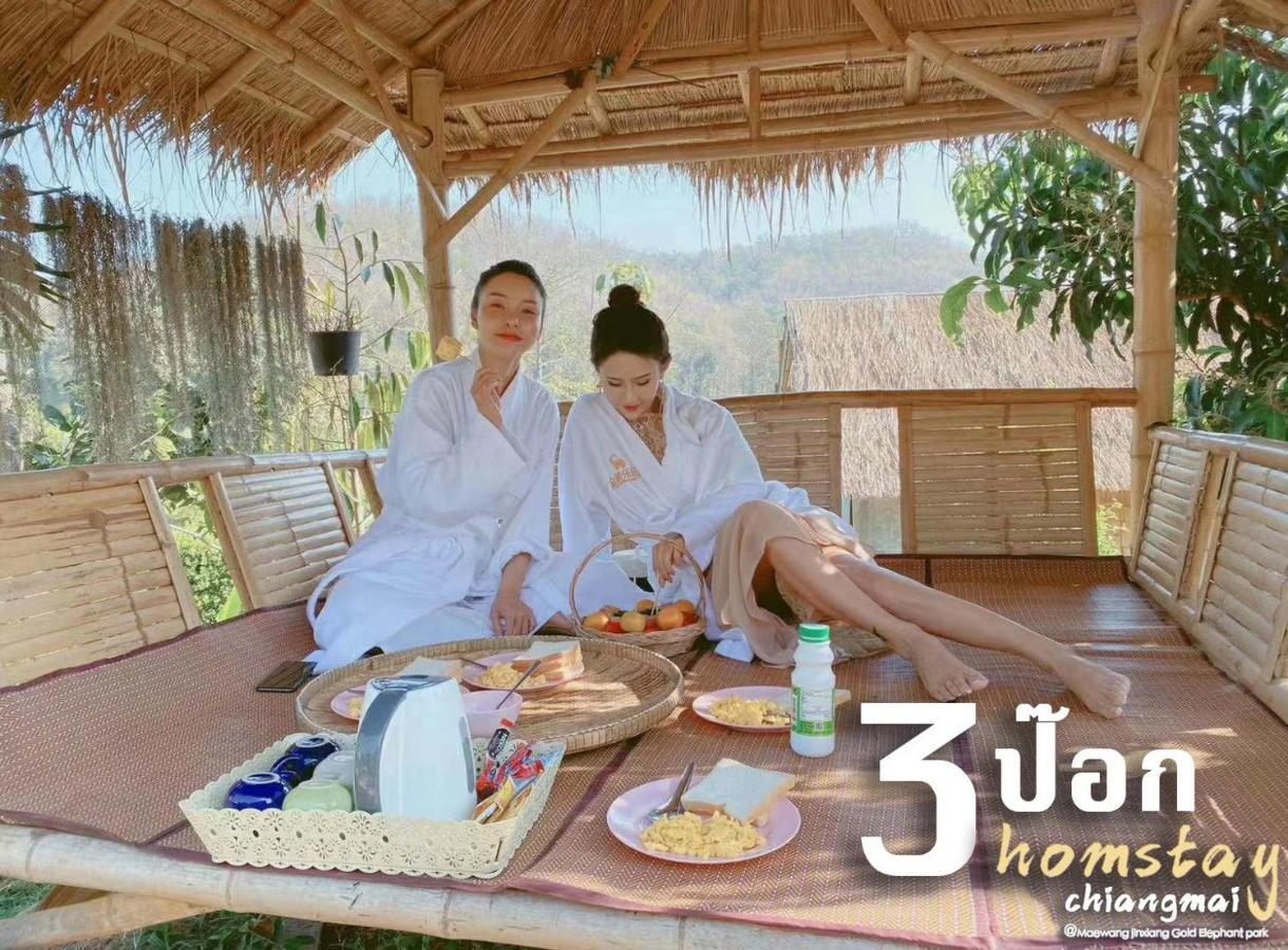 Homestay 3 Pok Maewang Jinxiang Gold Elephant Park Mae Wang