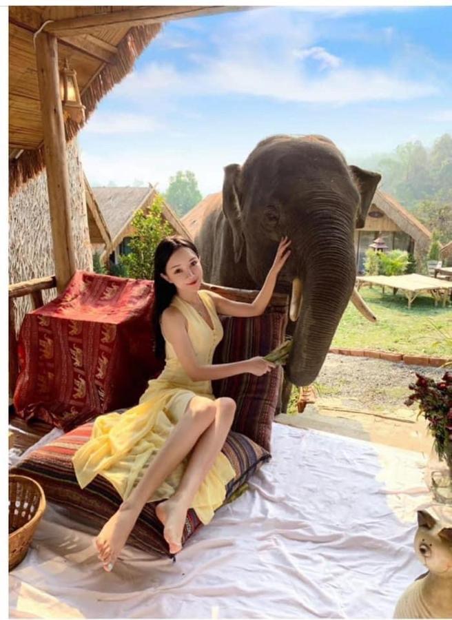3 Pok Maewang Jinxiang Gold Elephant Park Homestay