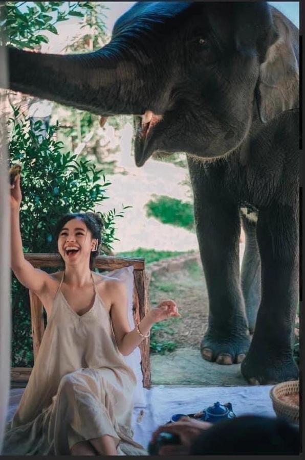 3 Pok Maewang Jinxiang Gold Elephant Park Resort *