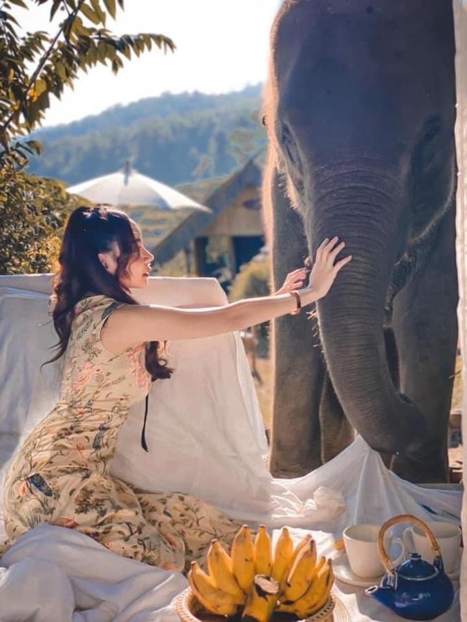 3 Pok Maewang Jinxiang Gold Elephant Park Homestay Mae Wang