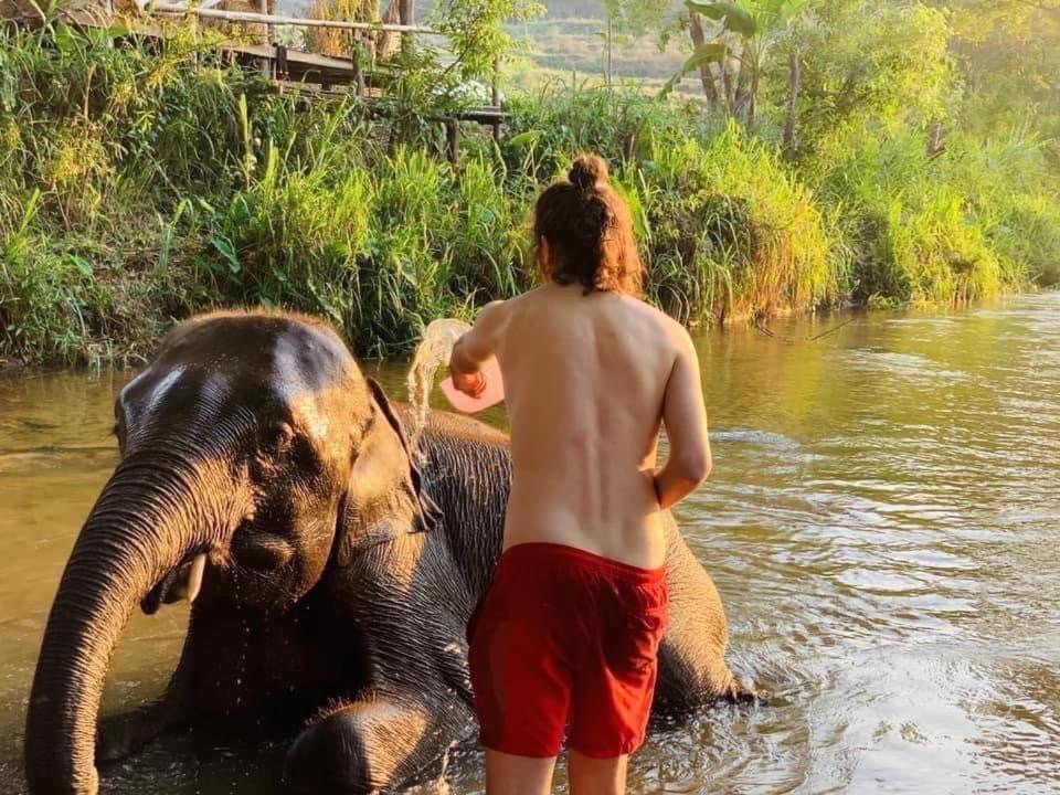 3 Pok Maewang Jinxiang Gold Elephant Park Resort Mae Wang