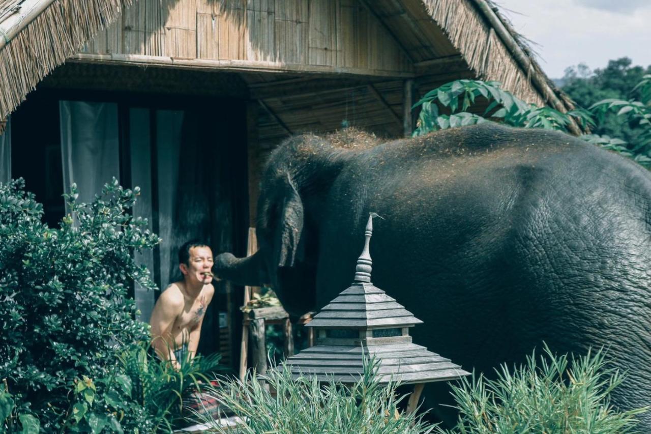 3 Pok Maewang Jinxiang Gold Elephant Park Homestay *
