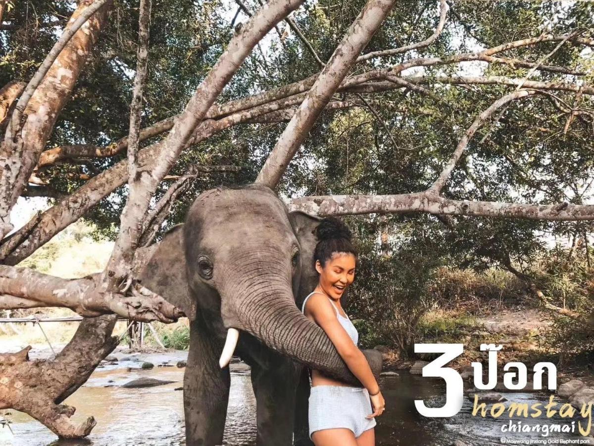 Homestay 3 Pok Maewang Jinxiang Gold Elephant Park Mae Wang