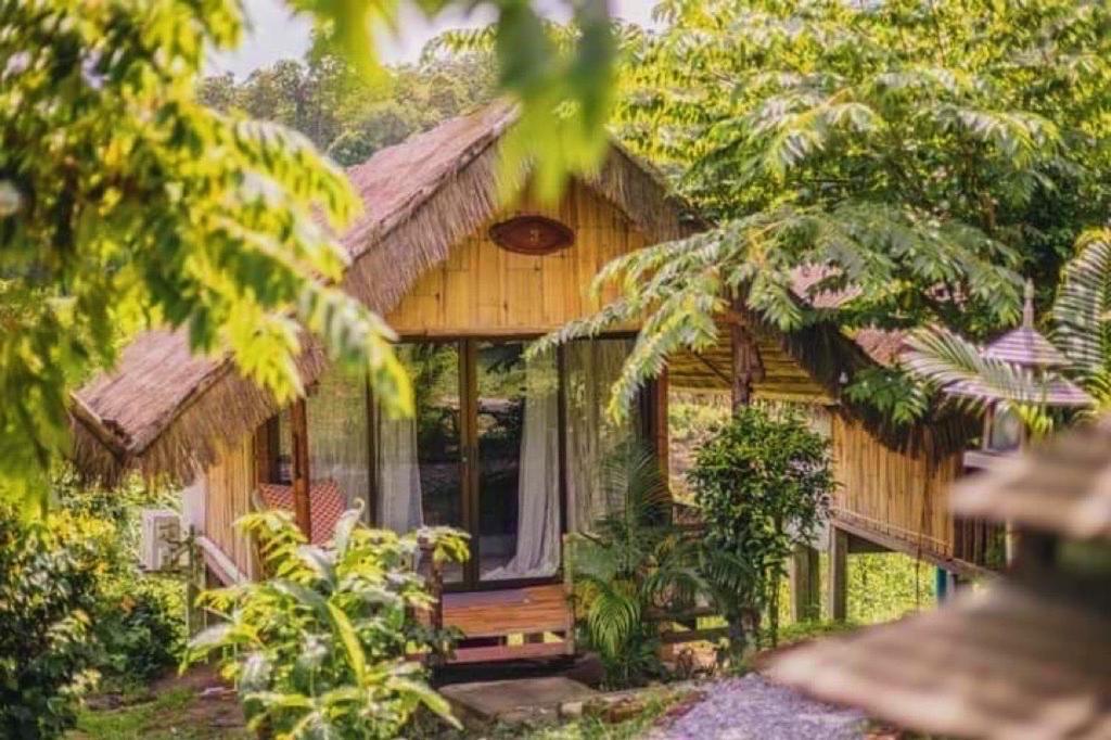 3 Pok Maewang Jinxiang Gold Elephant Park Resort Mae Wang
