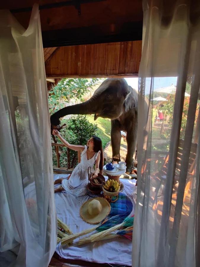 Homestay 3 Pok Maewang Jinxiang Gold Elephant Park