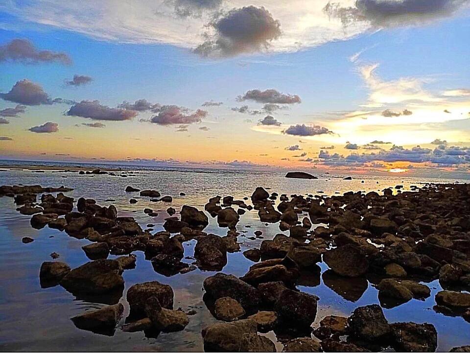 Paradise
