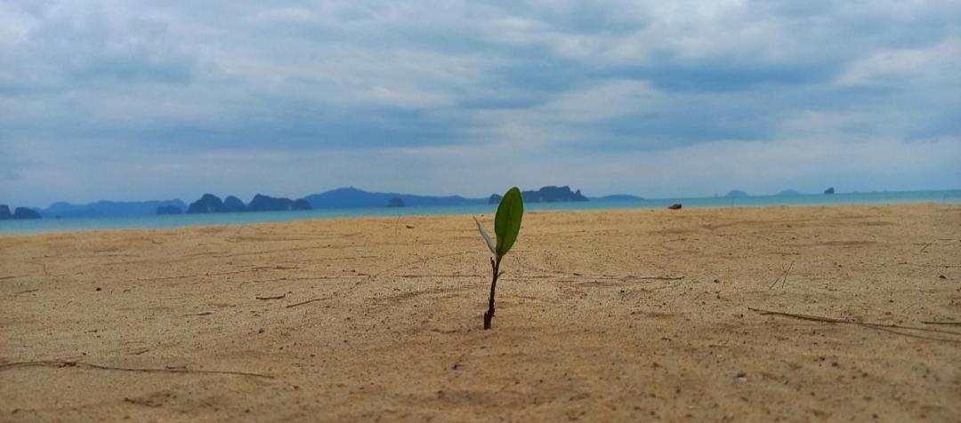 Koh Yao Noi Beach Resort Resort