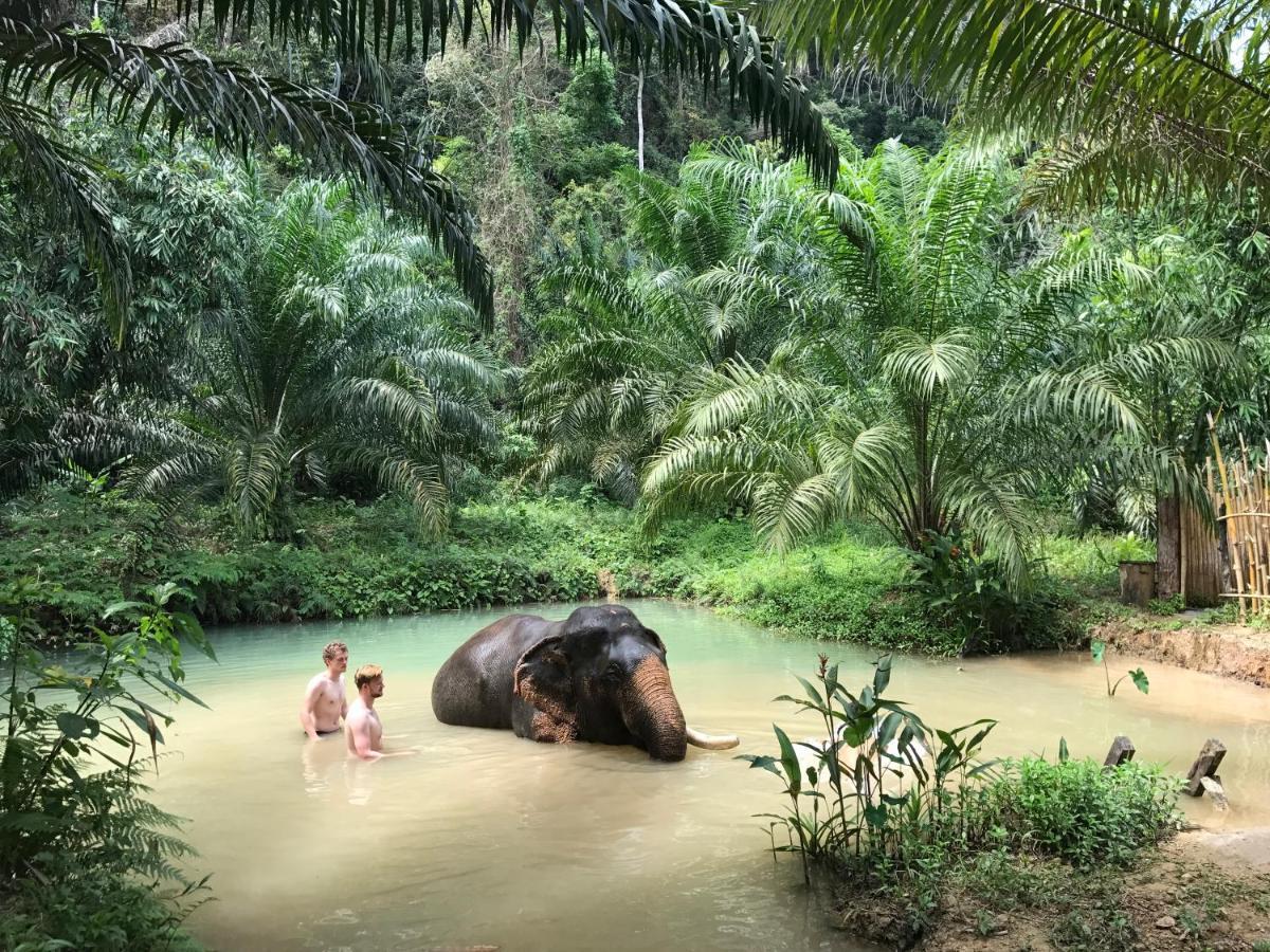 Khao Sok River 2*