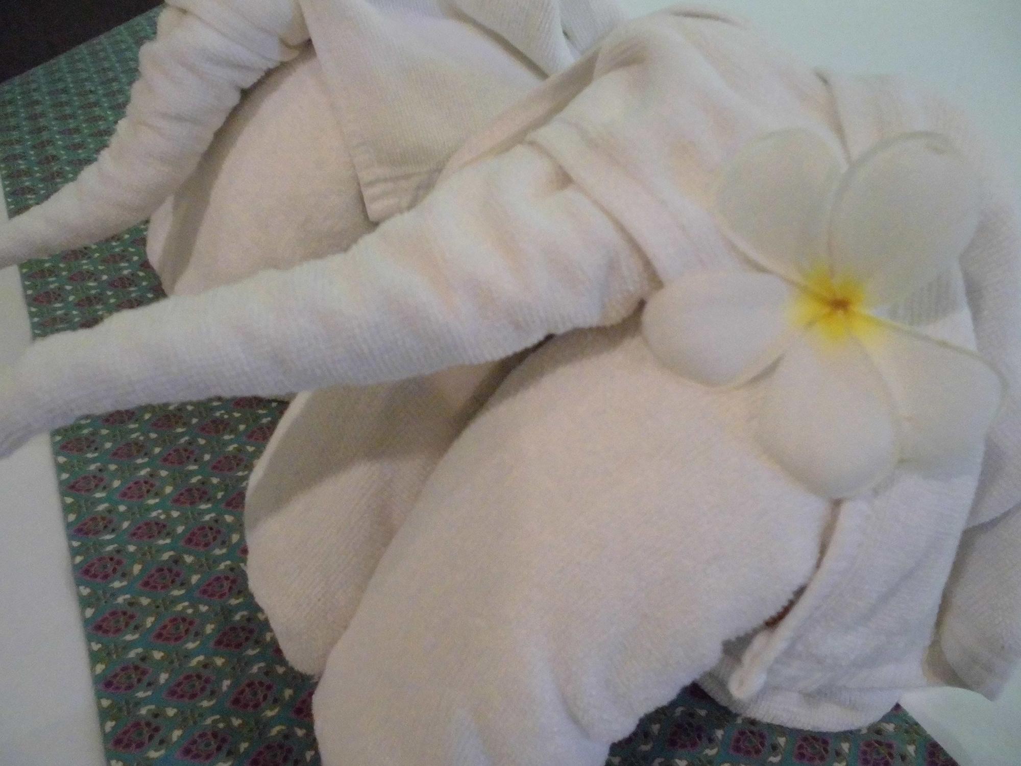 The Haleeva Aonang - Sha Certified