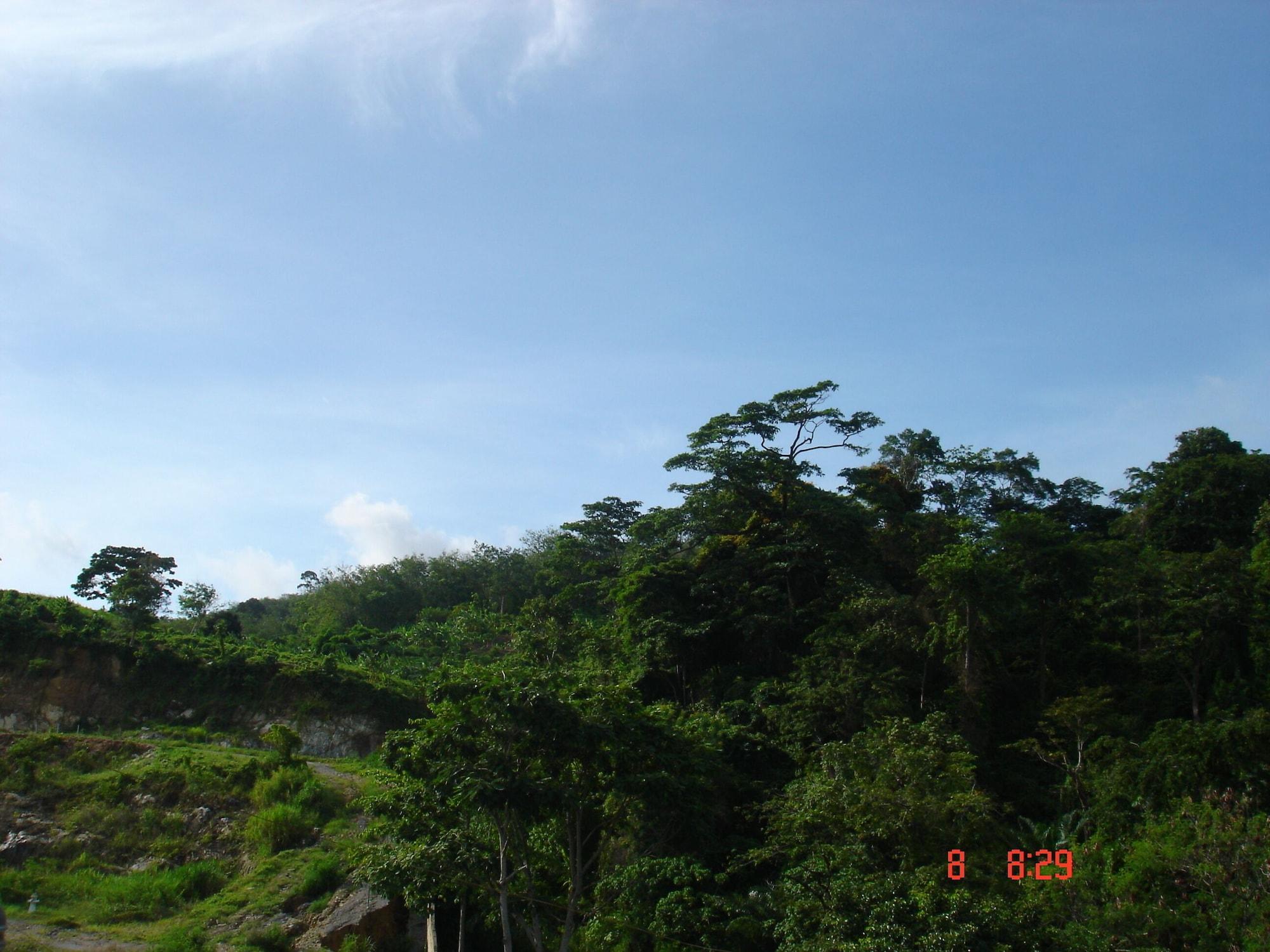 Lamai Casa de hóspedes Patong
