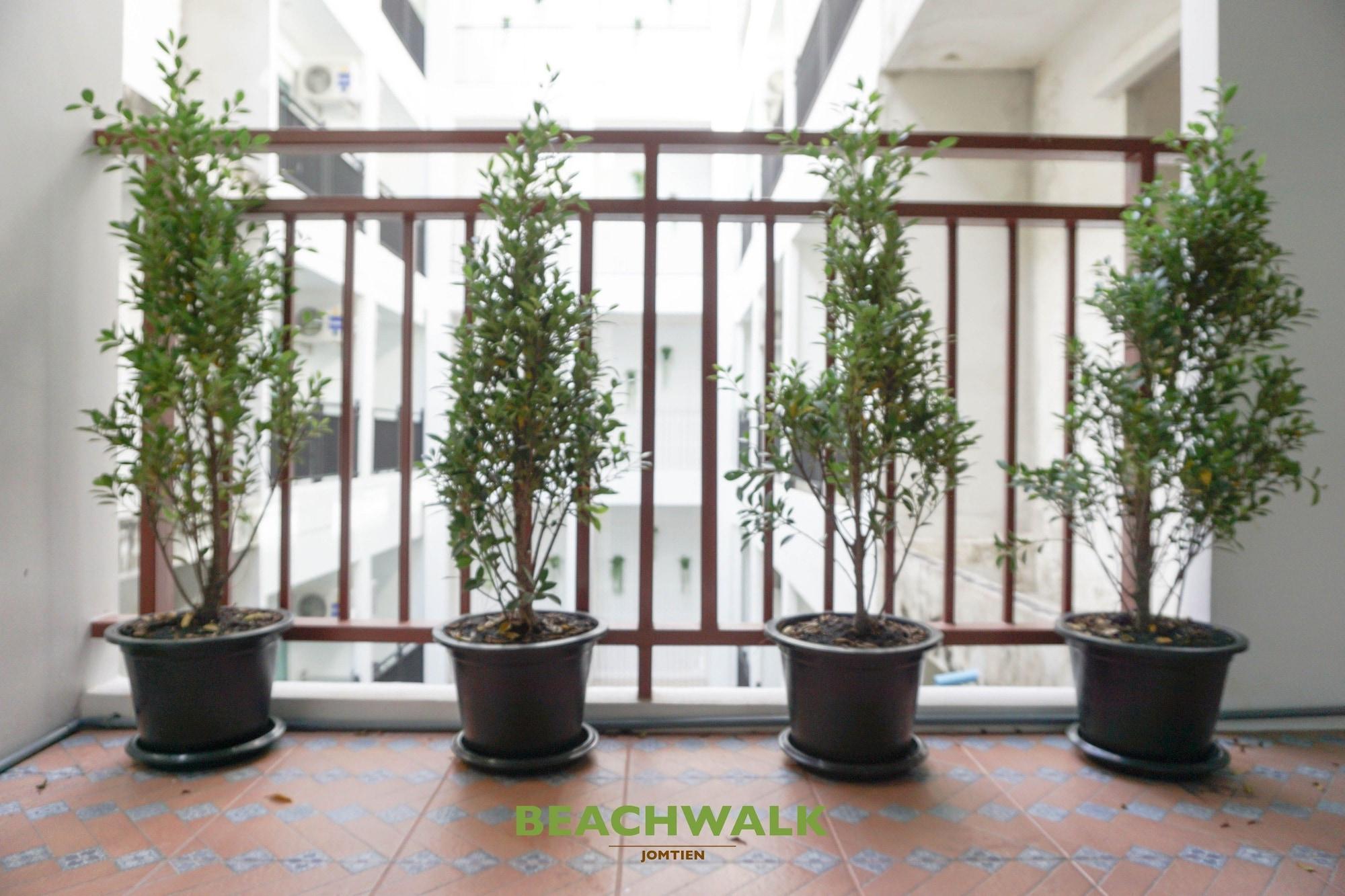 Beachwalk 3* Jomtien Beach