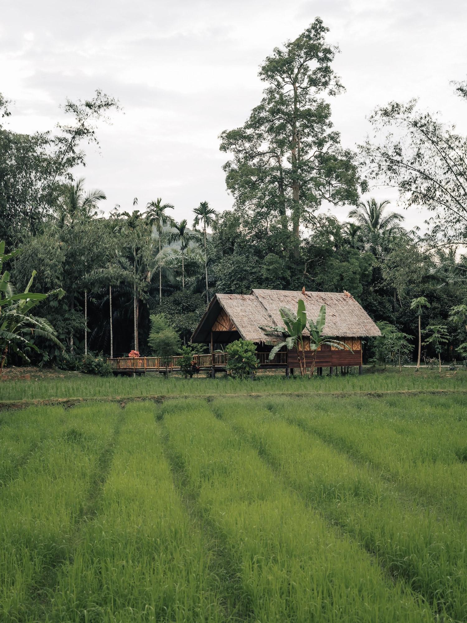Our Jungle Camp - Eco 3*