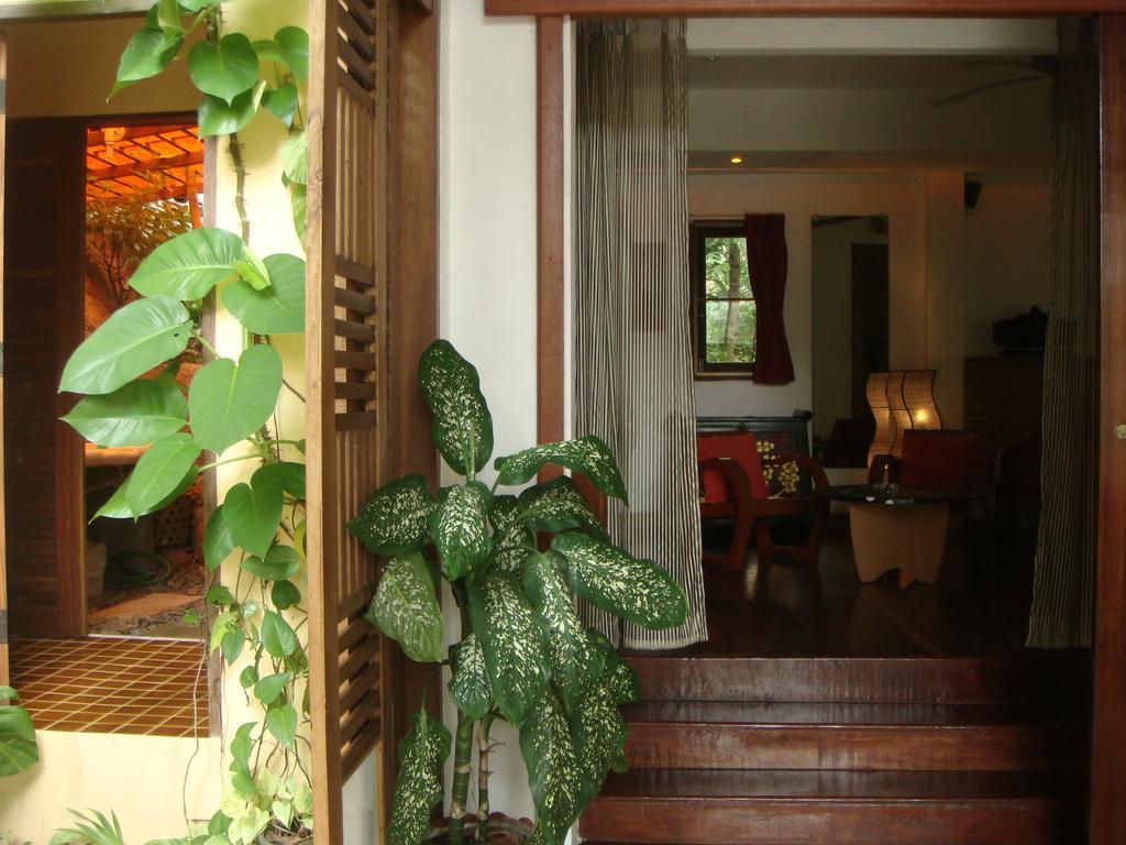 La Cigale 4* Koh Tao