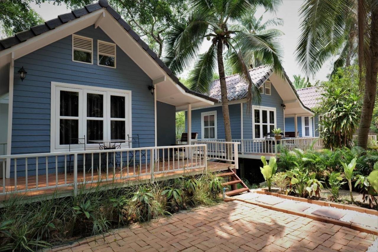 Young Coconut Garden