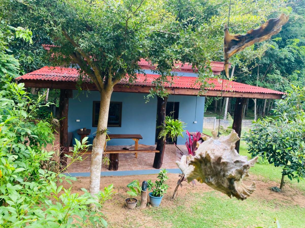 Nadia Kohjum Koh Jum