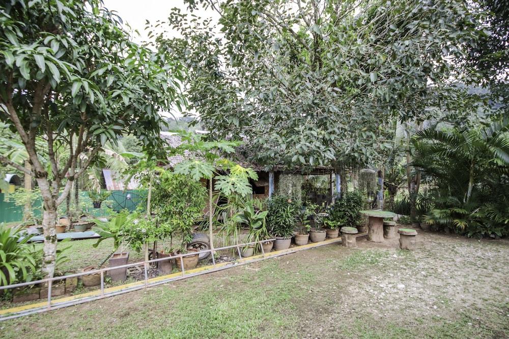 Banana Resort
