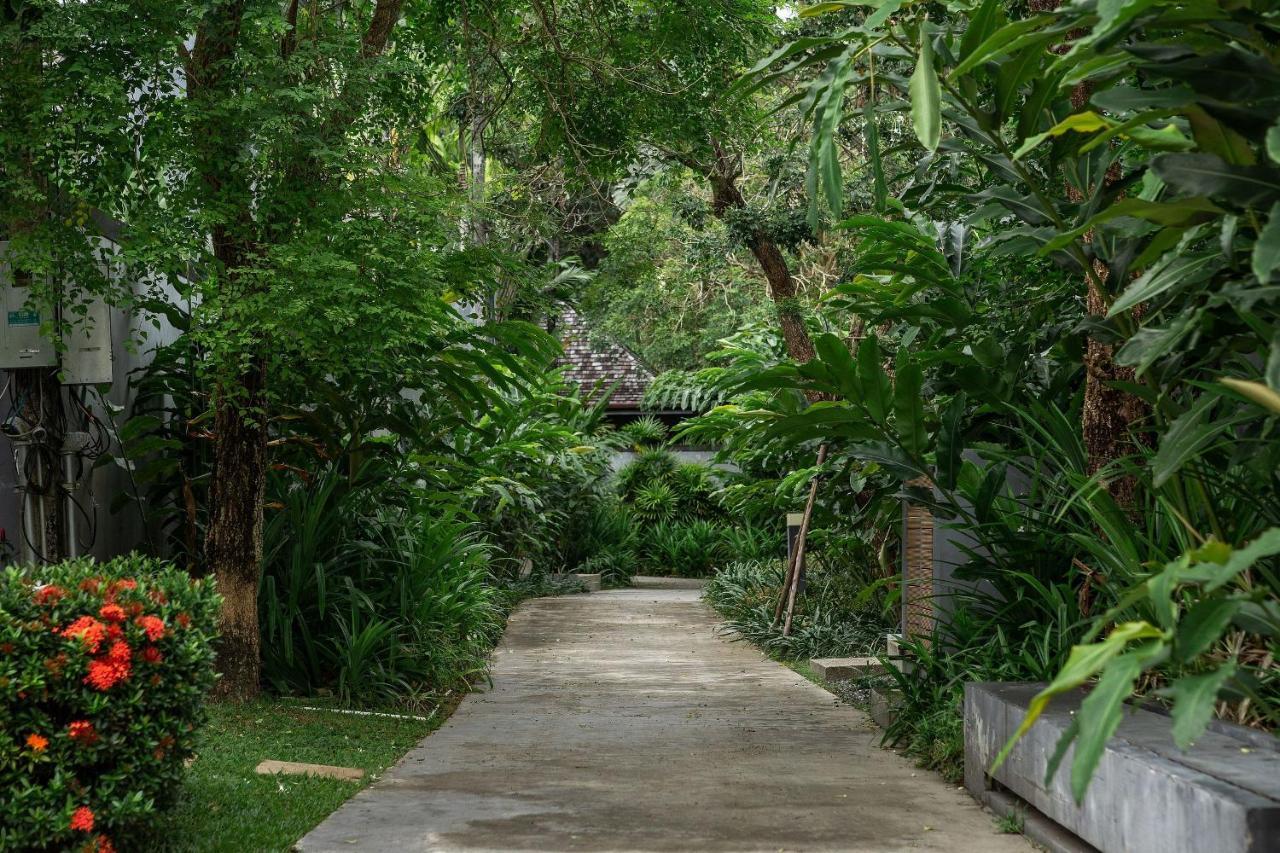 Pagai | Private Pool | Baan Bua Estate By Tropiclook | Naiharn Villa *