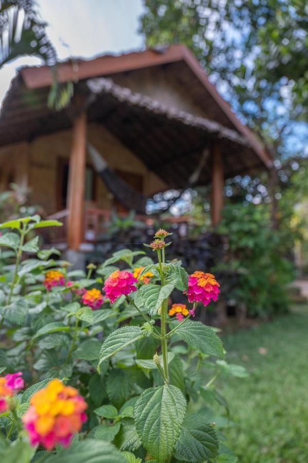 The Nest House Pai