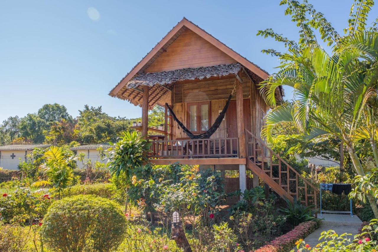 The Nest House