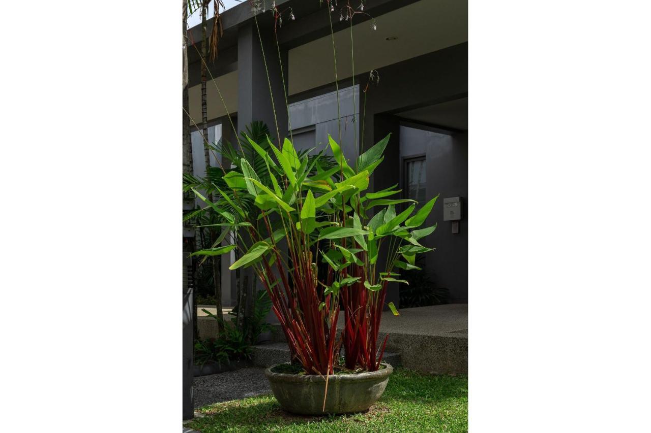 Aruhe | 2 Bedroom Private Pool In Popular Onyx | 3 Min To Naiharn Villa *