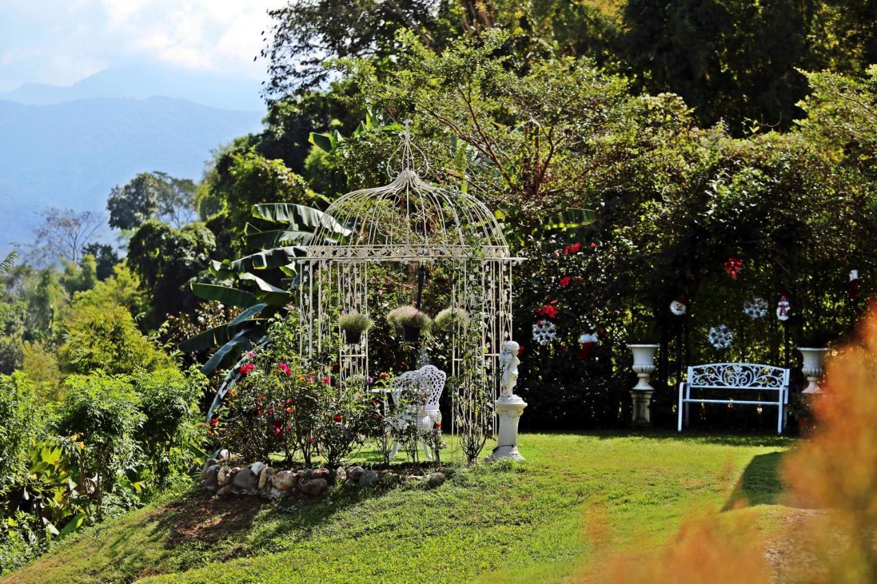 Hotel De View Boutique Pua