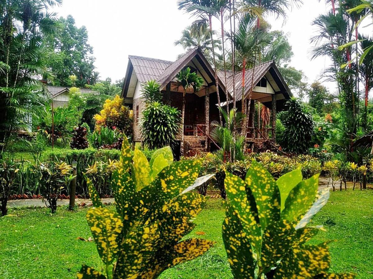 Tree Tops River Huts 2*