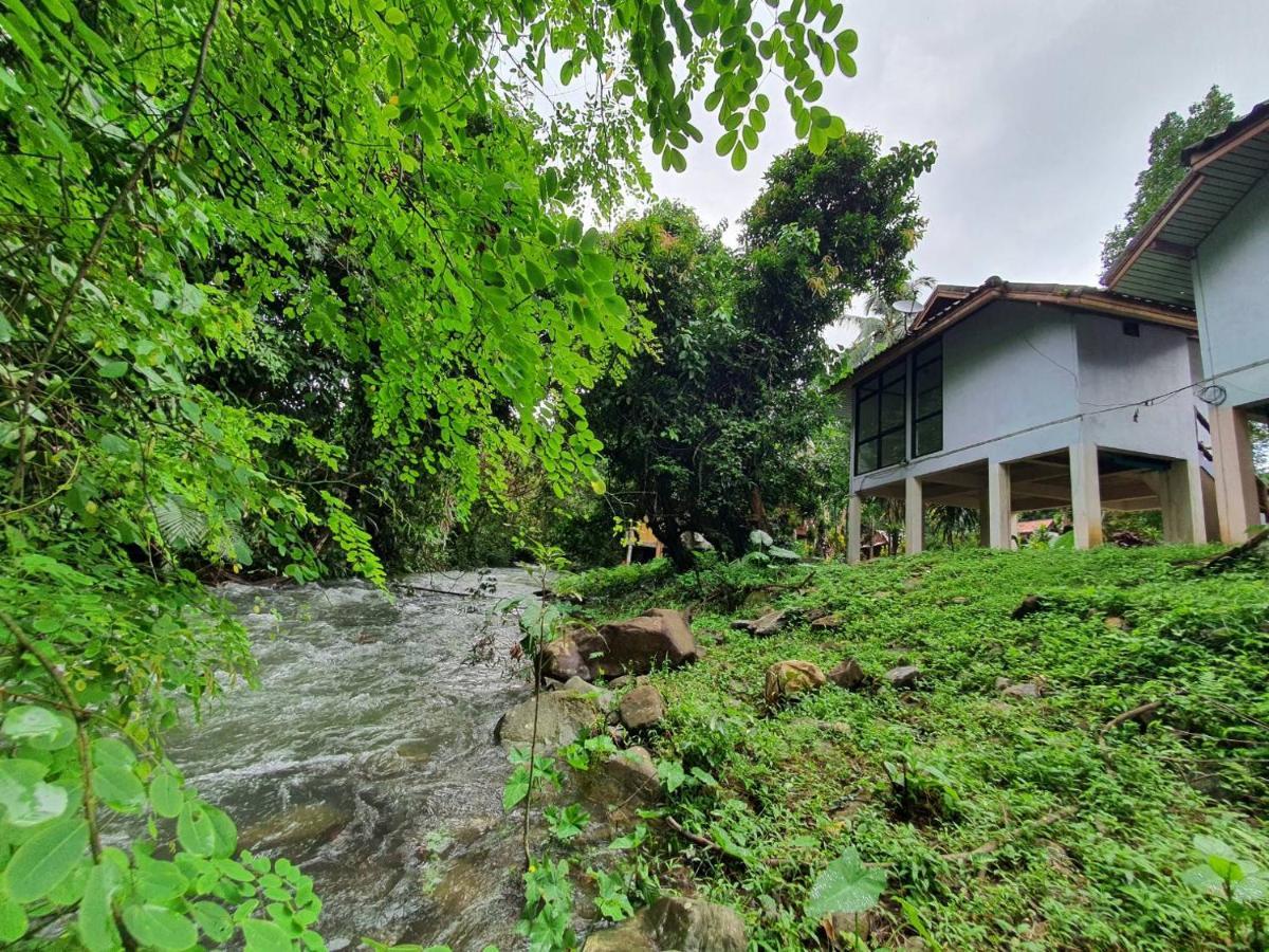Resort Malulee Khaosok