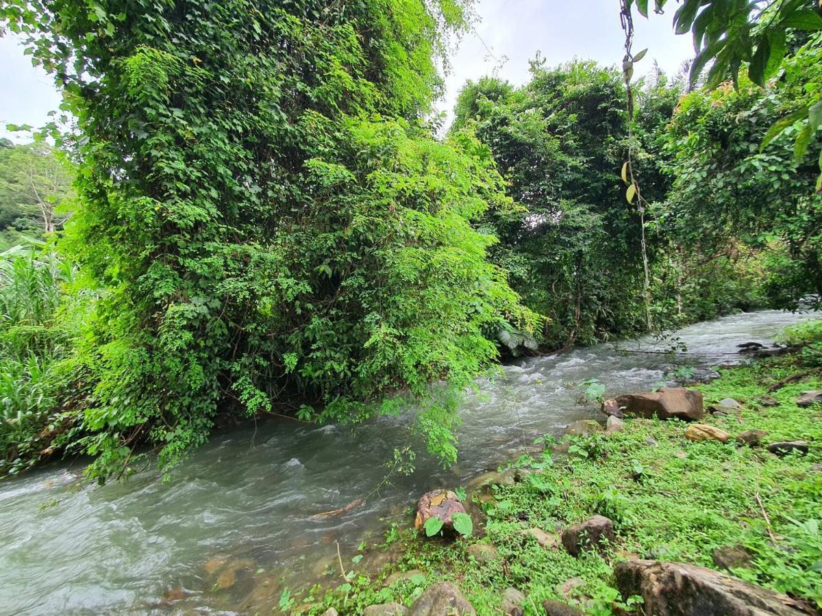Resort Malulee Khaosok Khao Sok National Park