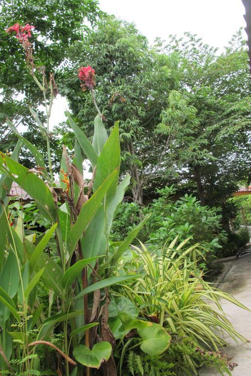Resort Q Zone Boutique House Phra Nakhon Si Ayutthaya