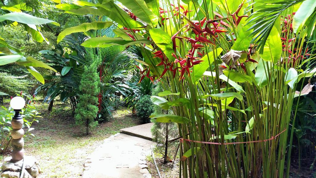 Khaosok And Resort Khao Sok National Park