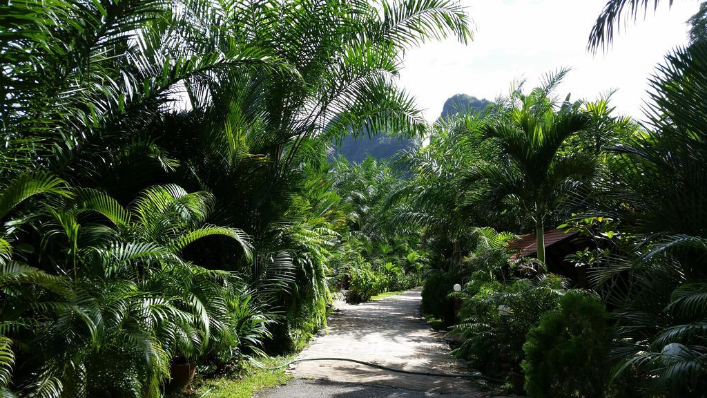 Resort Khaosok And
