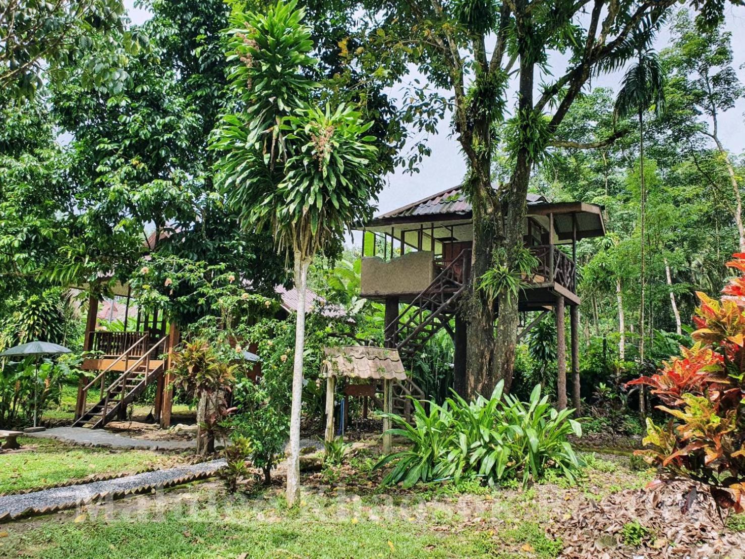Malulee Khaosok *