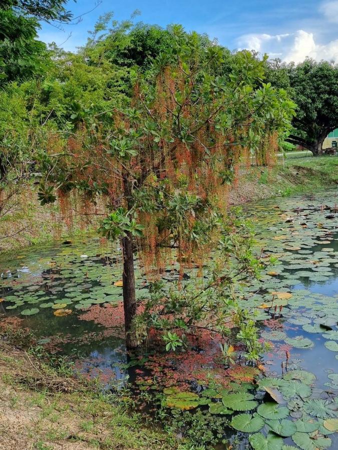 Kalae Nakhon Sawan