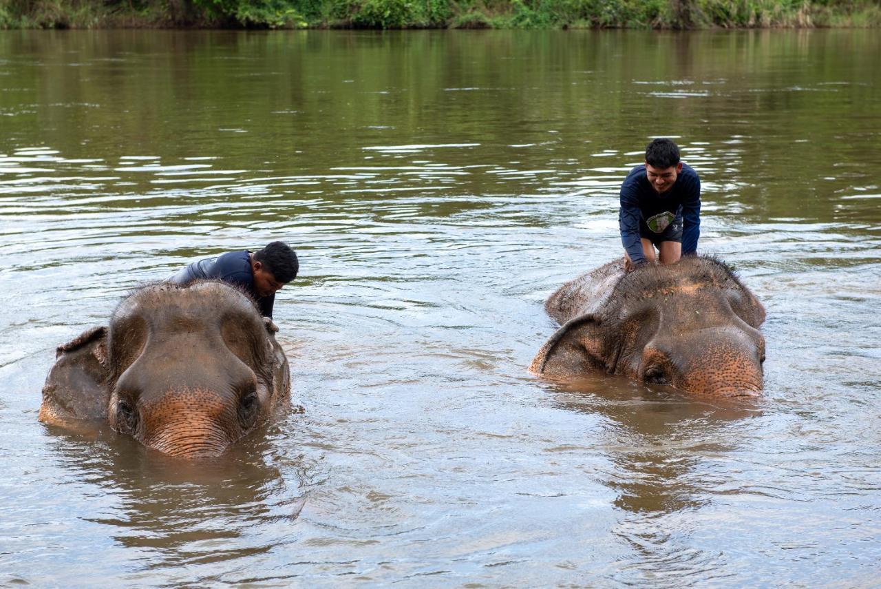 The Legacy River Kwai 4*