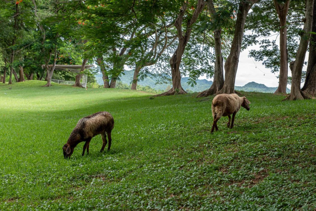 The Legacy River Kwai Resort Kanchanaburi