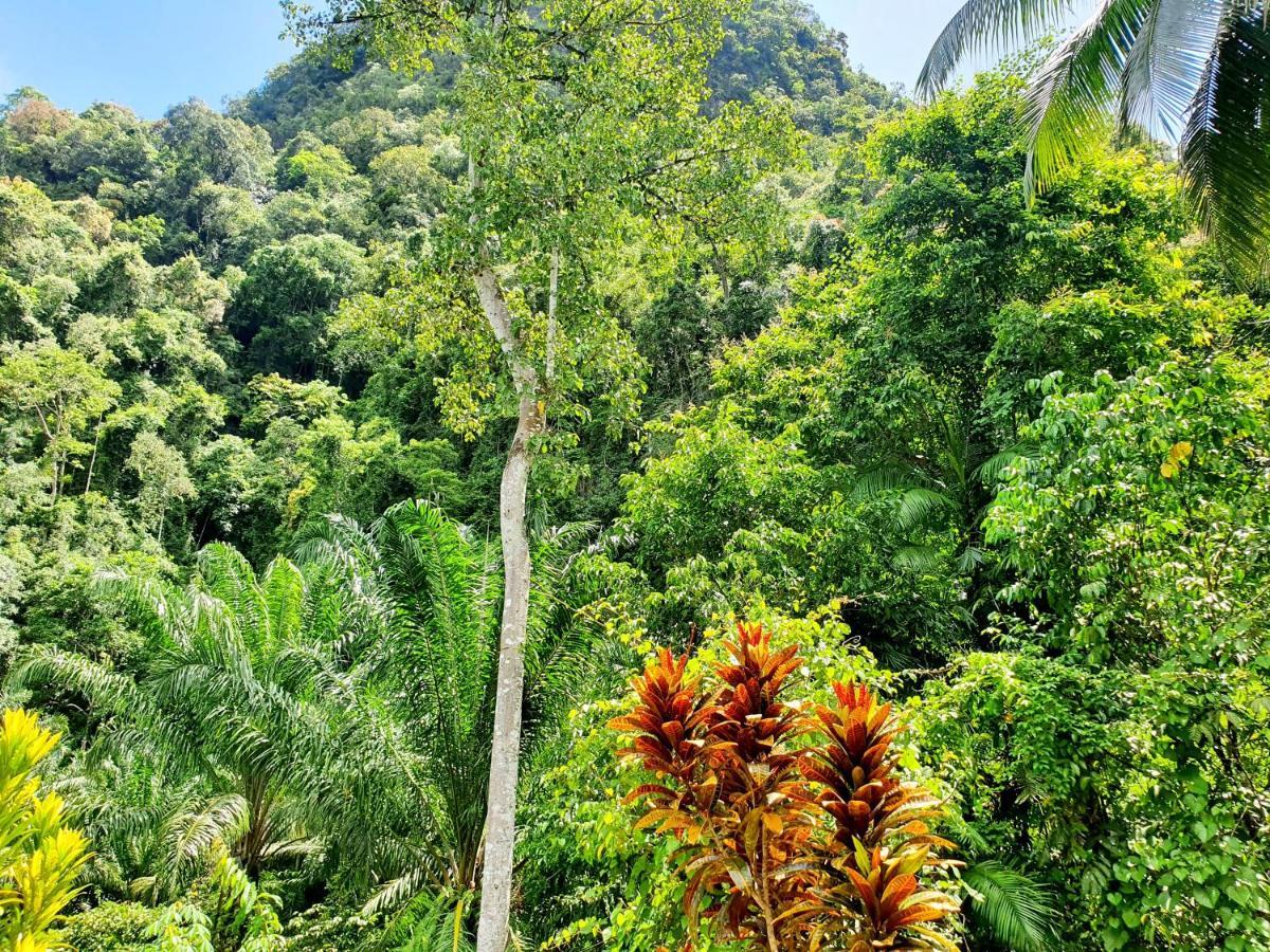 Khao Sok Silver Cliff Resort Khao Sok National Park