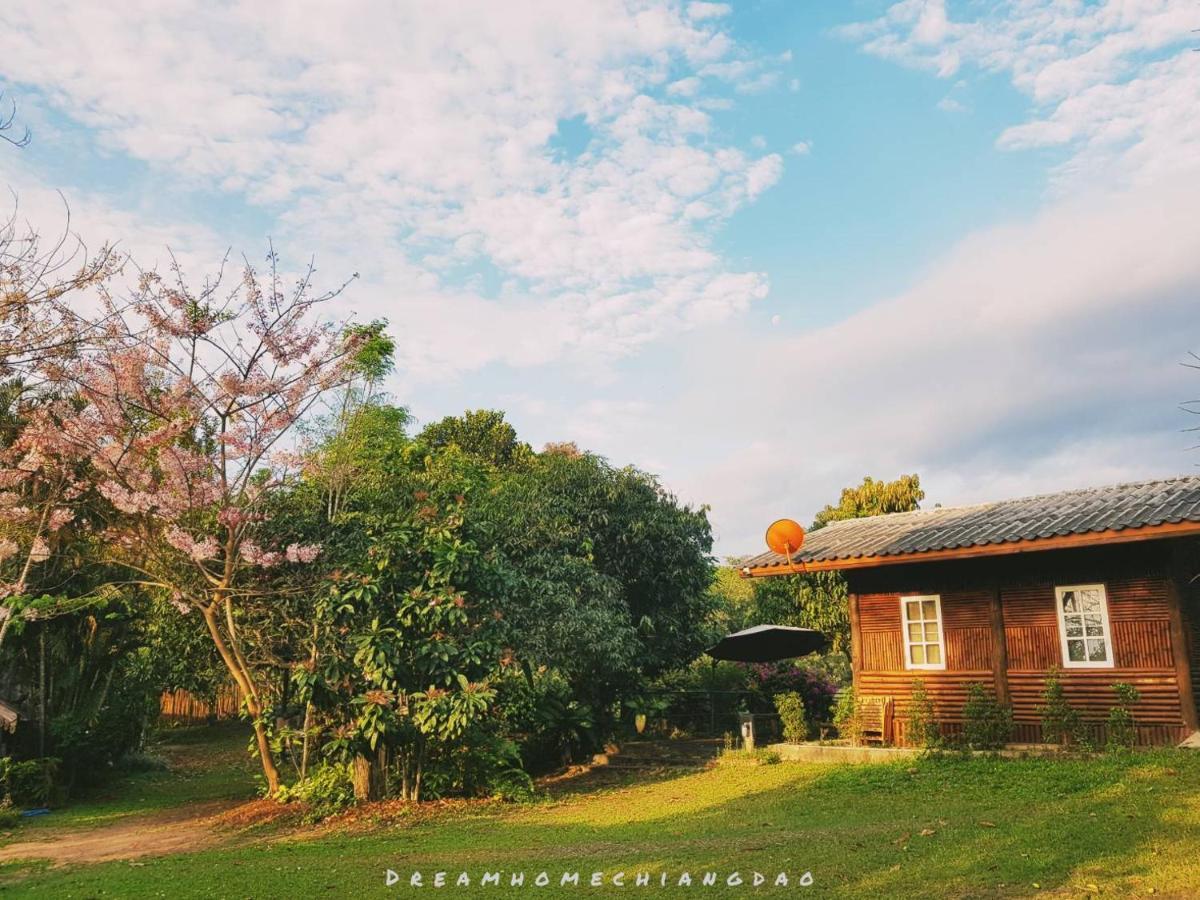 Dreamhome Chiangdao Homestay *