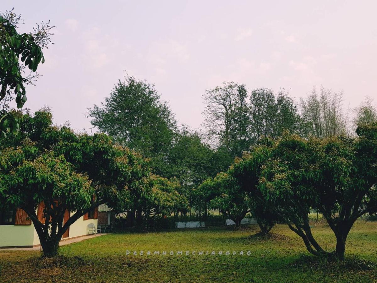 Dreamhome Chiangdao Homestay *
