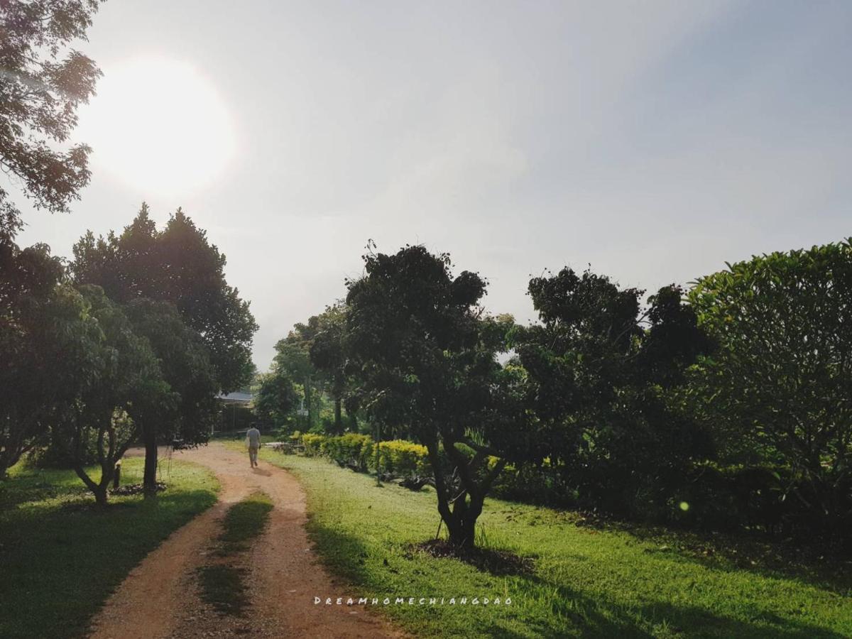 Dreamhome Chiangdao *