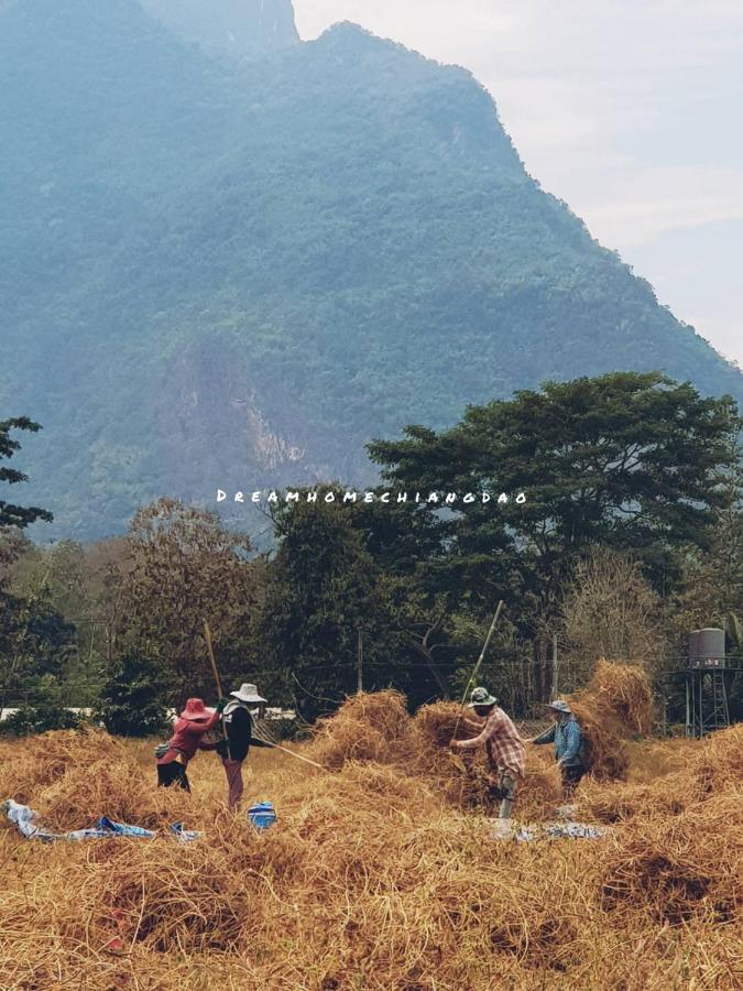 Dreamhome Chiangdao Homestay