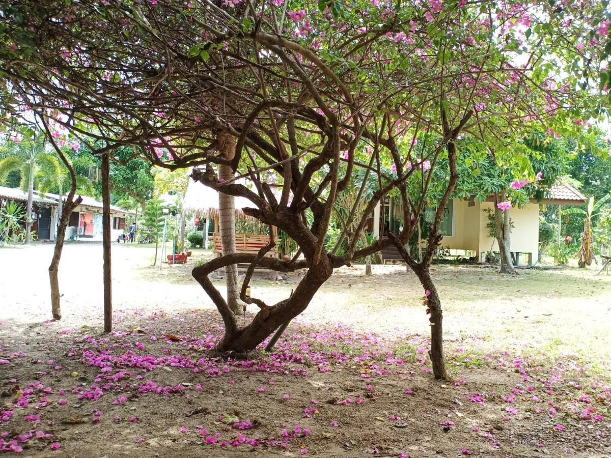 Wandee Ban Krut (Prachuap Khiri Khan)