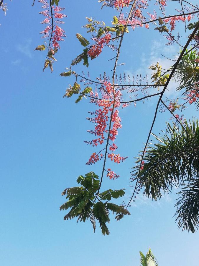 Thanorm Rak 2* Khao Kho