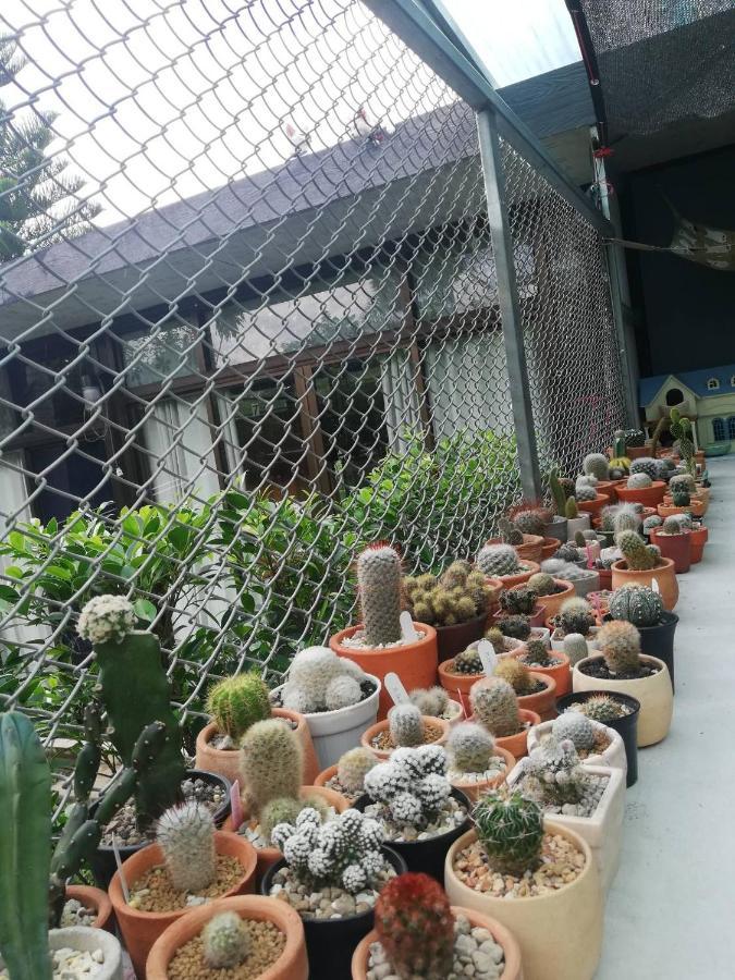 Thanorm Rak 2* Khao Kho